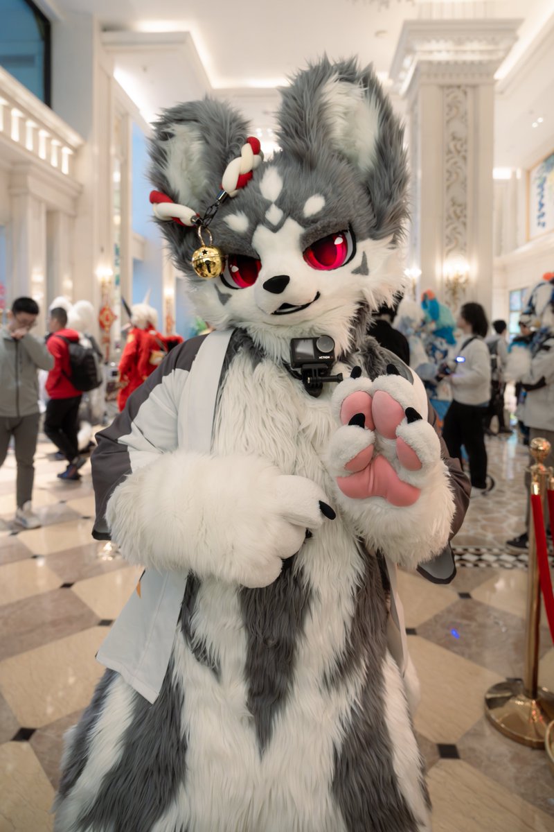 #fursuit #furry 拍了，但不认识系列 返图会自己漂流到的x