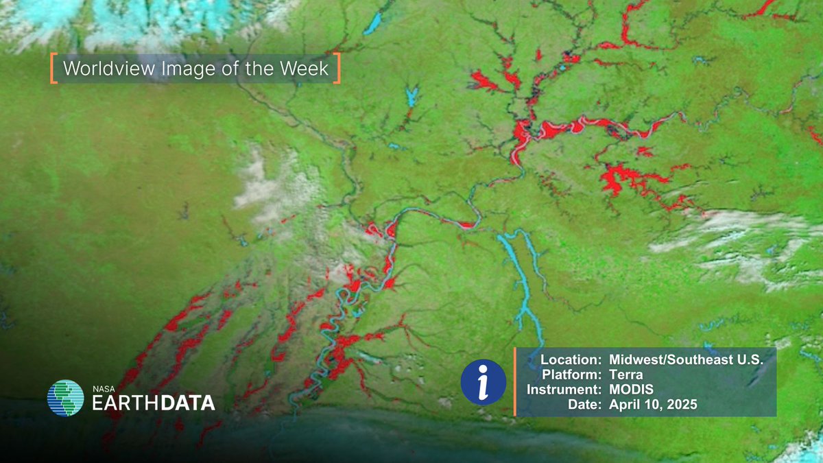 🌎 Worldview Image of the Week 🌎
Flooded rivers and landscapes across the Midwest and Southeastern U.S. captured by the MODIS instrument aboard the Terra platform.

Get more details and interact with this week's image at earthdata.nasa.gov/news/worldview…
#flooding #EarthScience
