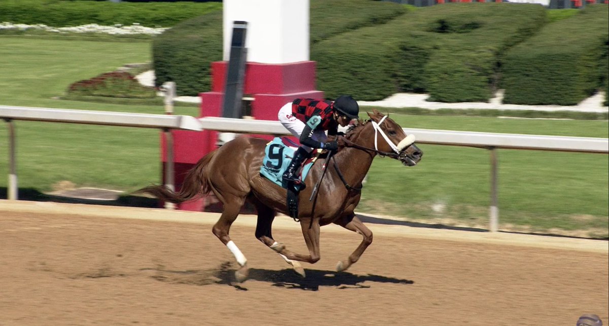 Moquett Racing (@moquettracing97) on Twitter photo NGALA and Rafael Bejarano navigated a loose horse down the backstretch before taking the lead turning for home and holding the field at bay to win this afternoon at Oaklawn! Congrats to <a href="/HuttAdams/">Catherine Adams Hutt</a> and all involved with another winner! NGALA and Rafael Bejarano navigated a loose horse down the backstretch before taking the lead turning for home and holding the field at bay to win this afternoon at Oaklawn! Congrats to <a href="/HuttAdams/">Catherine Adams Hutt</a> and all involved with another winner!