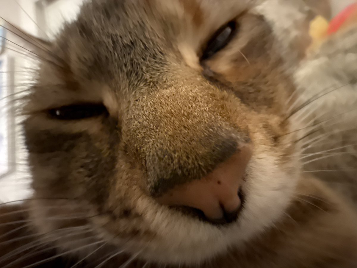 chuuper yuppers tweet media