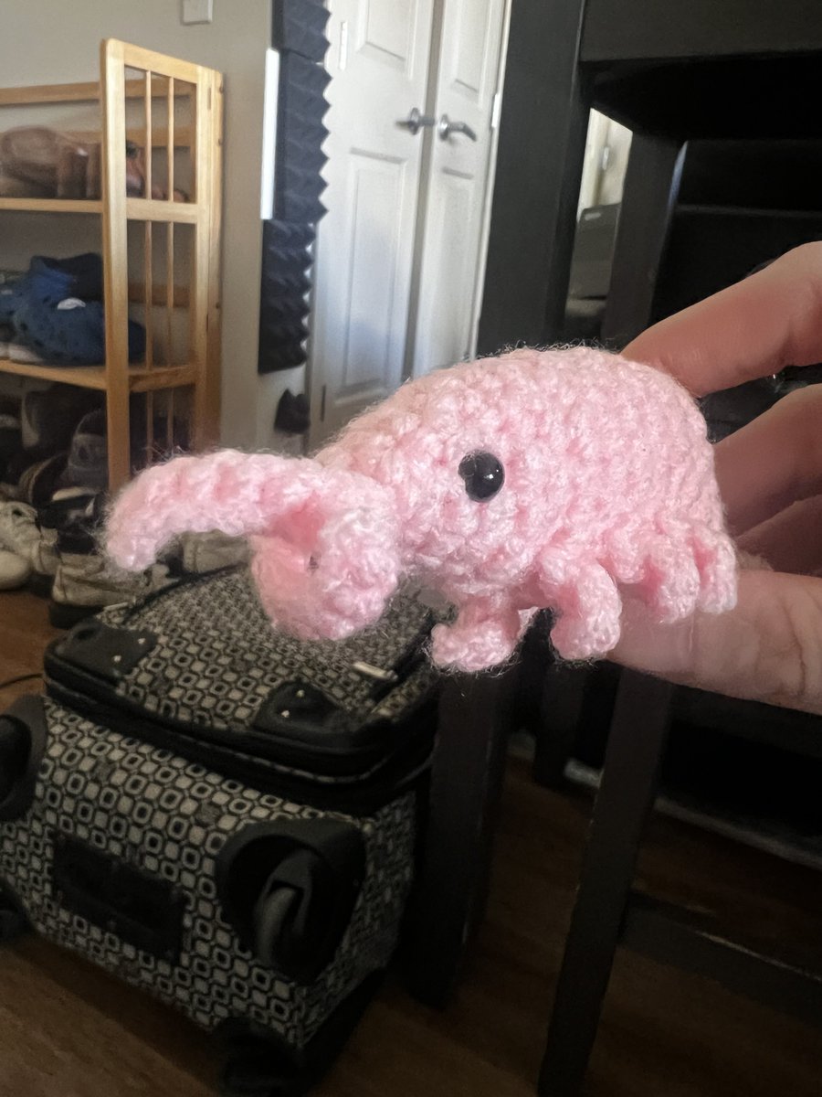 sabbox97's tweet photo. say hello to prawn summit @johnsummit https://t.co/2pZVRpJNHI
