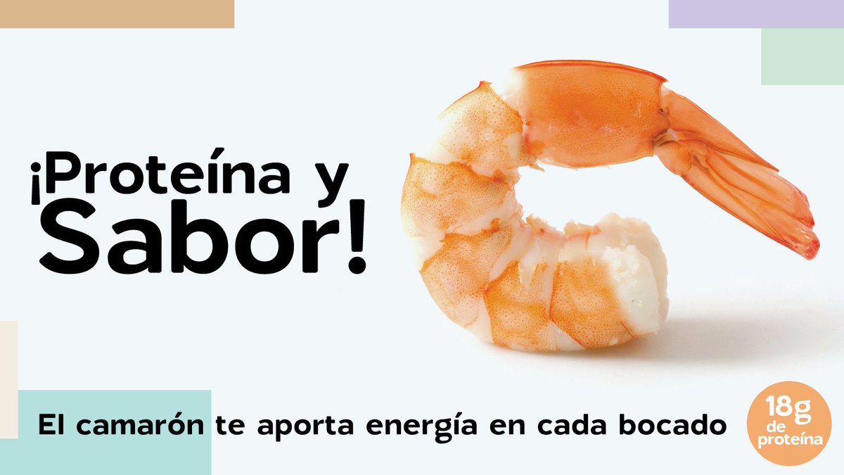 El camarón es tu mejor aliado si buscas energía en cada bocado 💪🍤
¿Sabías que está compuesto en más de un 20% por proteínas de alta calidad?
Una fuente de proteína magra ideal para una alimentación balanceada. 🔥

Muy pronto en la #ShrimpNutritionGuide

#GuíaNutricional