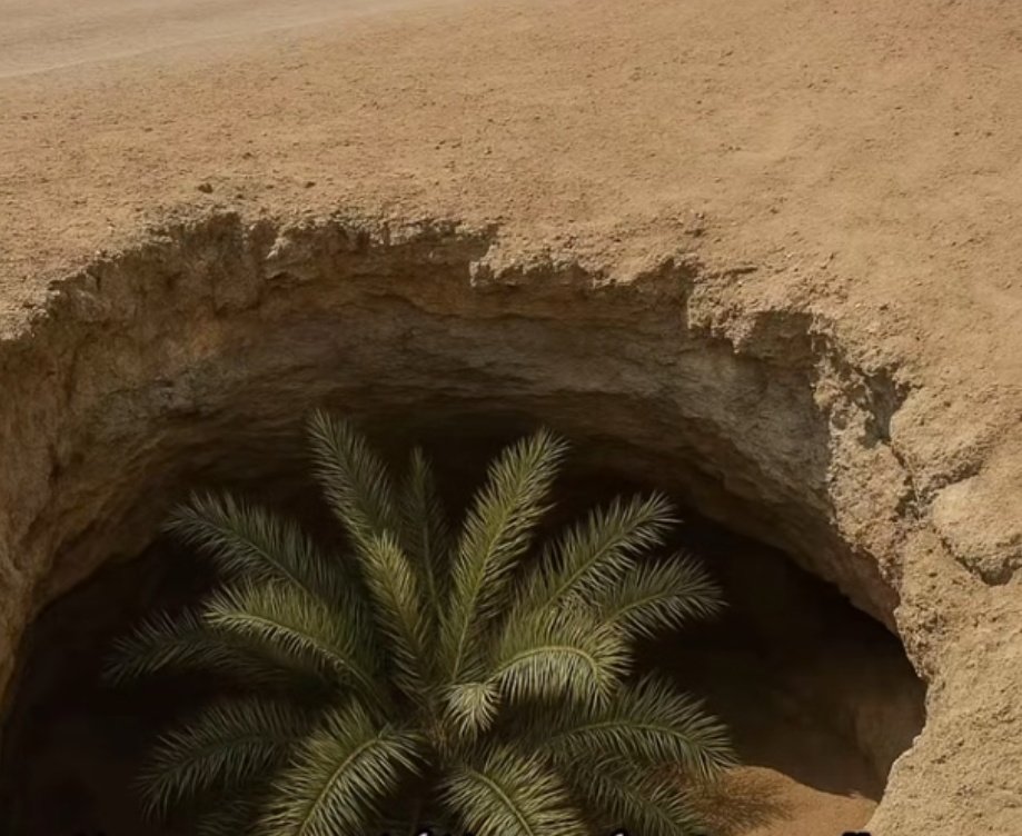 برنسـيسـة tweet media