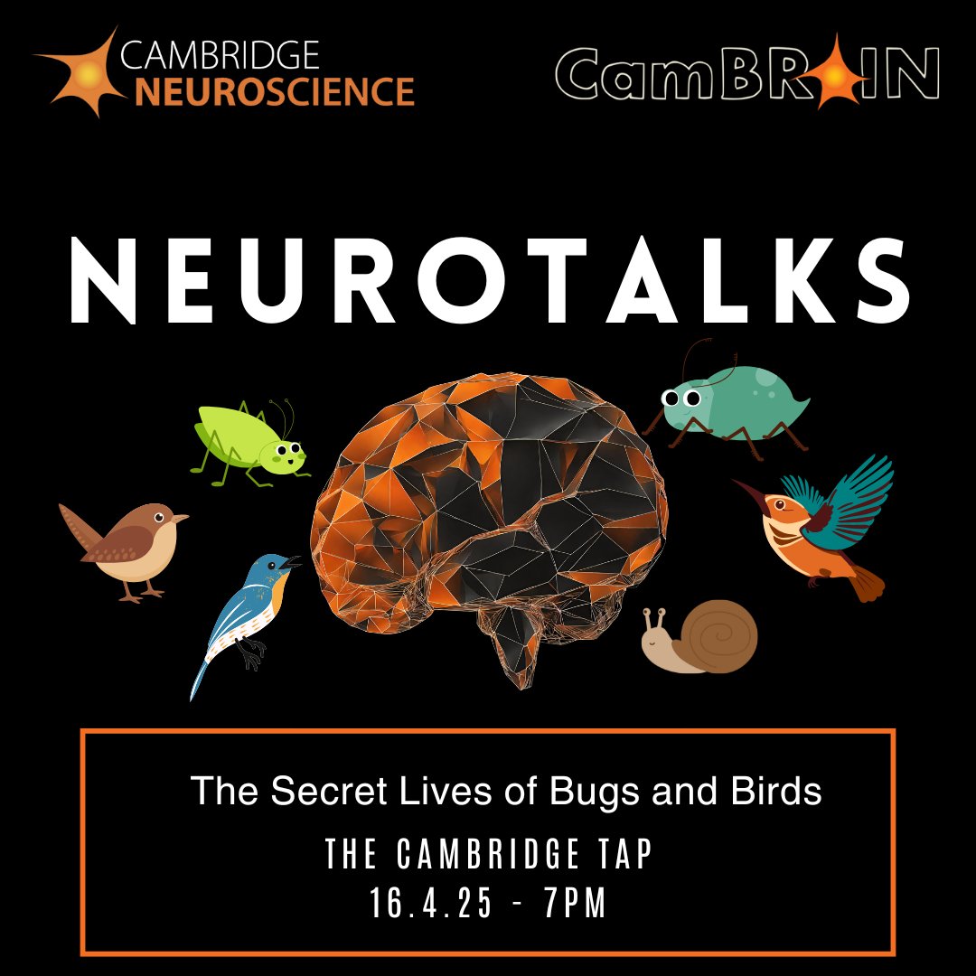 CamBrainCNS's tweet image. Join us for Neurotalks on The Secret Lives of Bugs and Birds. Our speakers will discuss the mysterious lives of tiny creatures, from tardigrades to songbirds and crickets, and how they sense and communicate in their worlds.
🗓️ Wed 16 April
📷 7pm-9pm
🗺️ Cambridge Tap