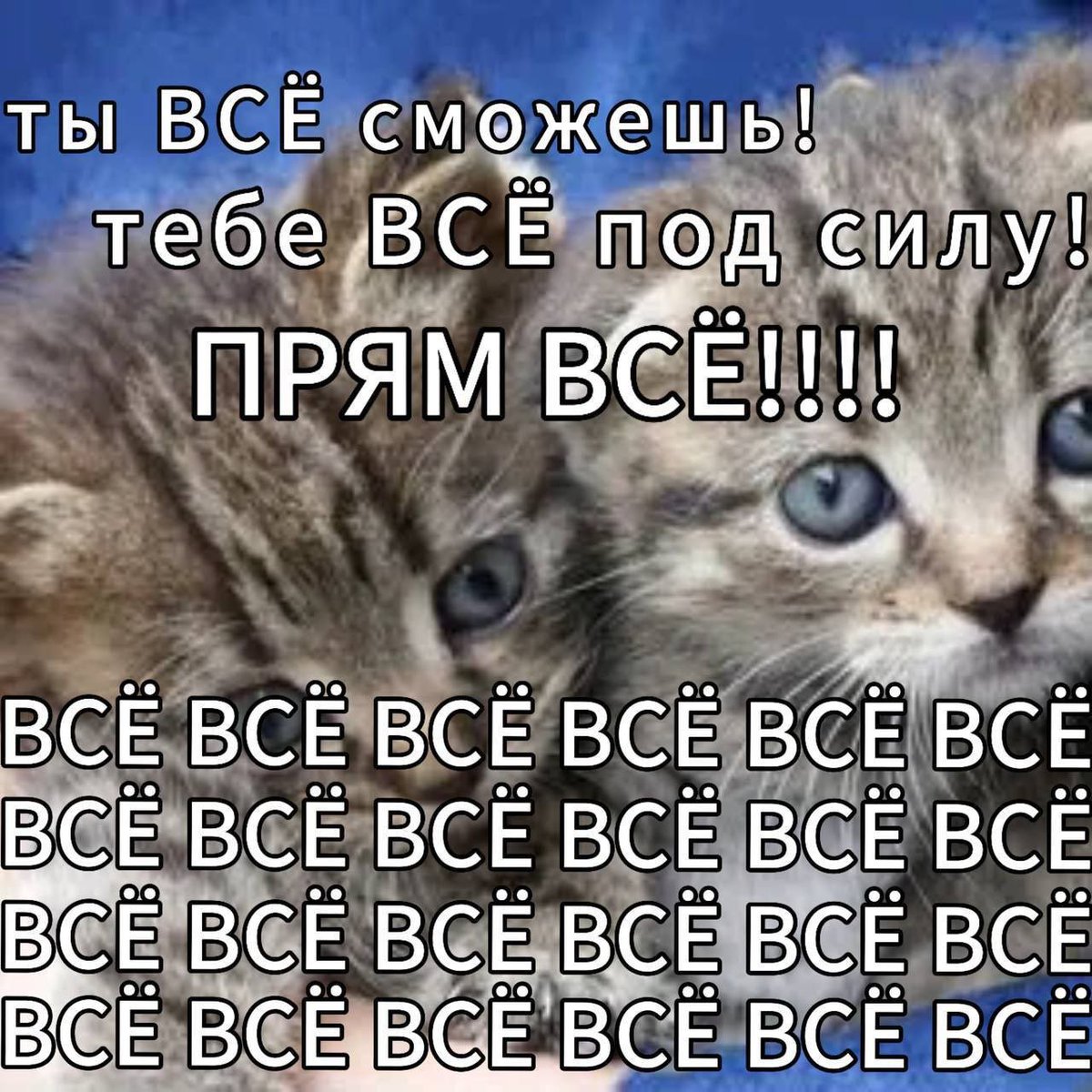 snncurd's tweet photo. @prfillusion__ Придет конечно!
А если не придет за лапку притащим!!! https://t.co/YtJNFsiQz1