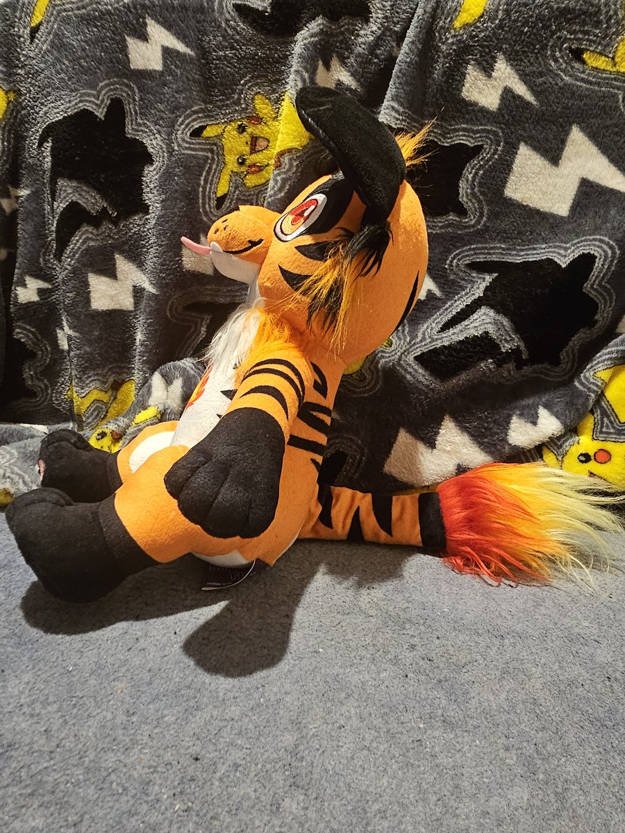 TheCinderKitten's tweet photo. OMG IT'S ME IN PLUSH FORM! Look forward to taking so many pictures of this boy in many adventures I go on in the future! ❤️

Shoutout to @BuildAFur for this beautiful commission! https://t.co/BbpcX8VUKU