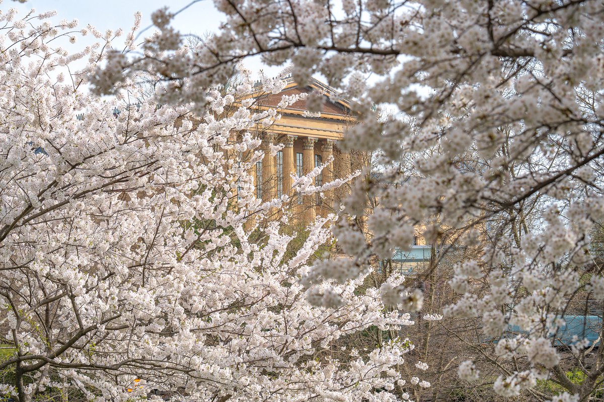 Cheers to the weekend, Philly! 🌸