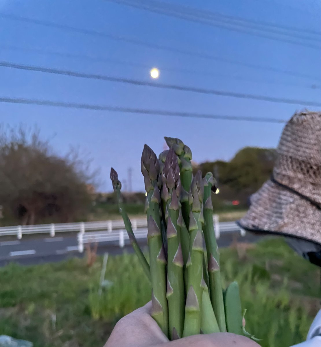 maya_yaima's tweet image. ゆしろー師匠の師匠を囲む会、めっちゃ熱い🔥#ffd #ffd001