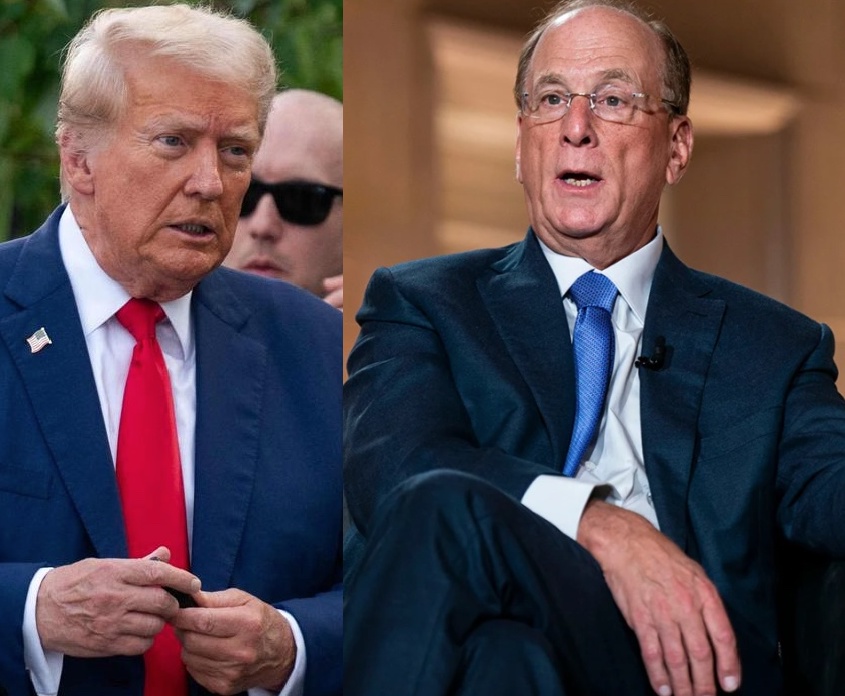 Occupy Democrats tweet media