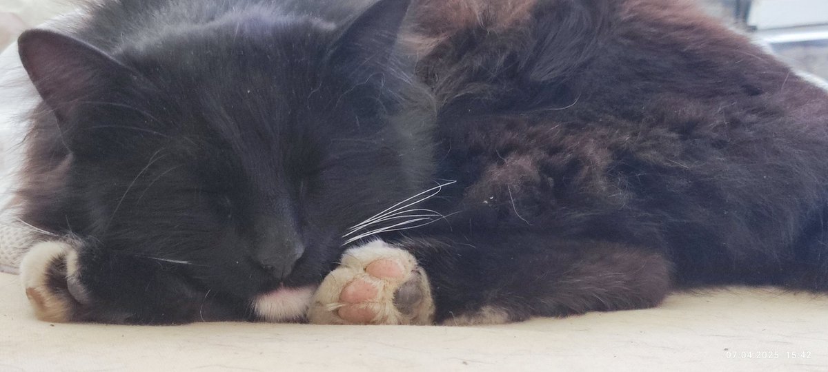 ❤️🥰🥰🥰🥰Love him 🥰🥰🥰