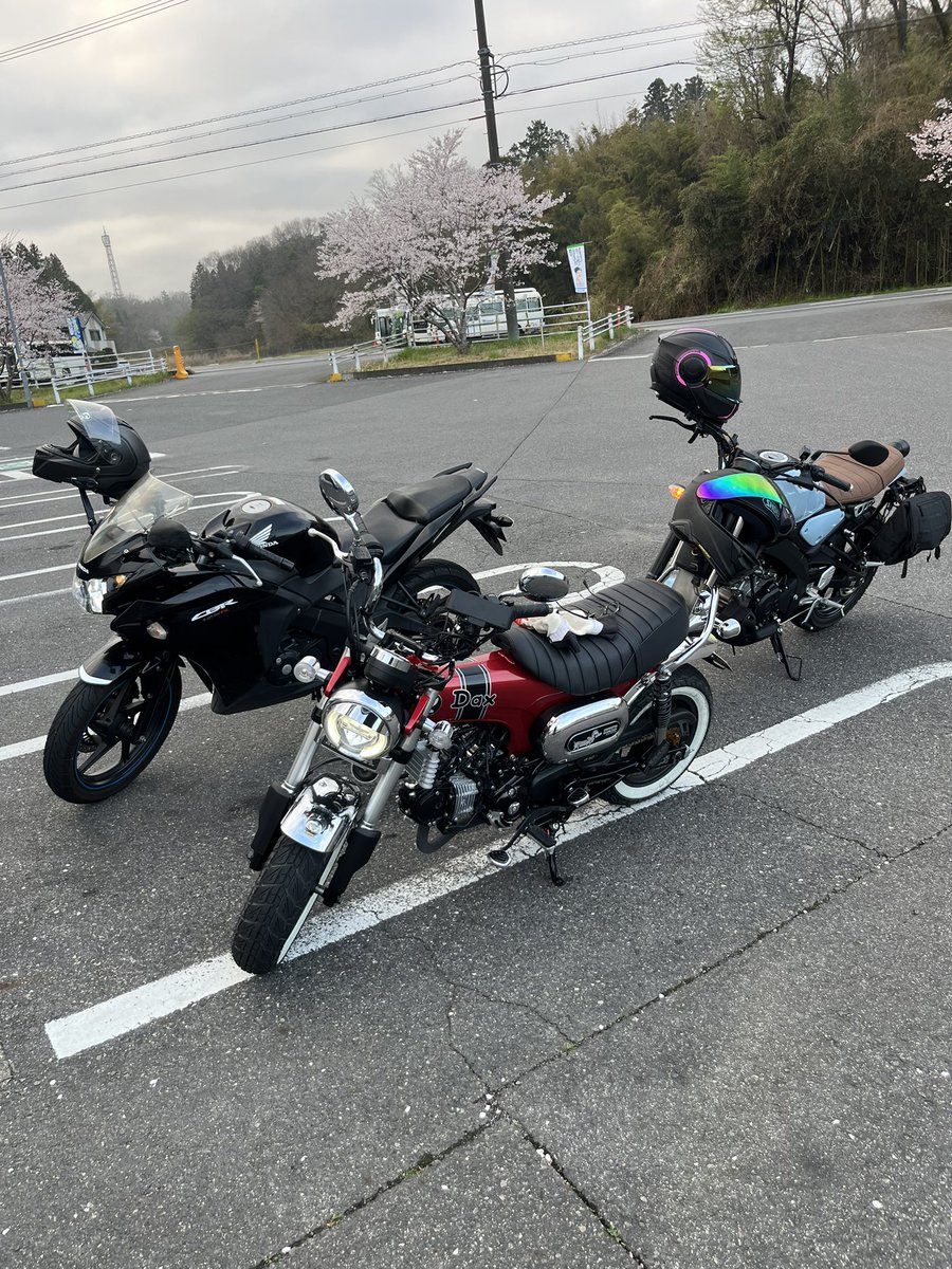 伊勢神宮行ってきます。

#ダックス125
#dax125
