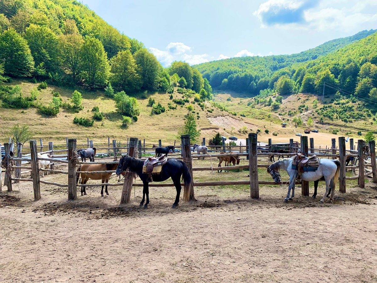 marijapeii's tweet photo. Galichnik, Mavrovo 

#mountain #bistra #galichnik #travel #beautiful #village #photooftheday https://t.co/HzmCY9ukq2