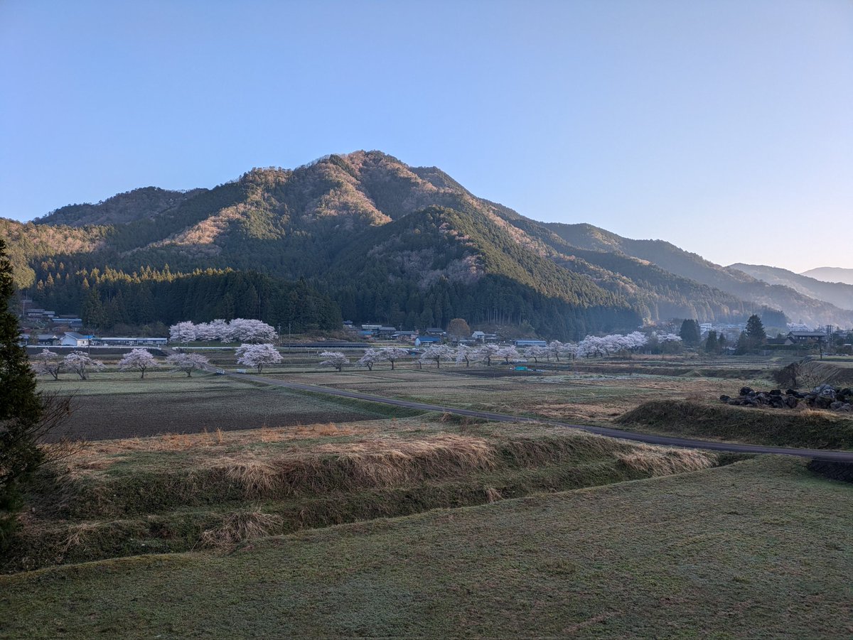 ryu2fu's tweet photo. 桃源郷にもようやく春が来ました❗
桜桜満開❗❗

＃岐阜
＃山県市
＃美山
＃相戸岳
＃岐阜にもあるよヤマガタ https://t.co/eBIqSB8Fjb
