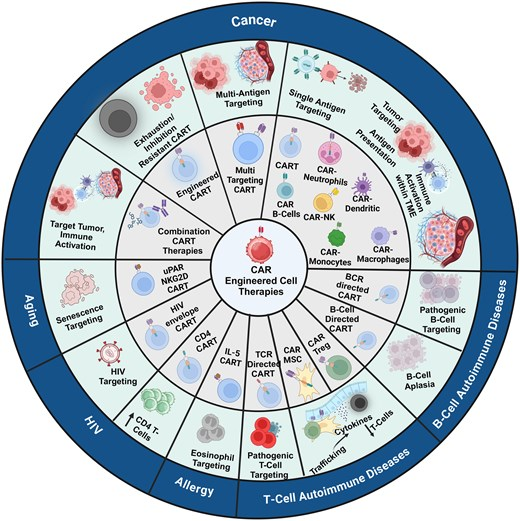 LabWaggoner's tweet photo. Review @J_Immunol @kenderian_ss
The road ahead for CAR T cells
https://t.co/LRYH38uIsy https://t.co/d3FJlbQD18