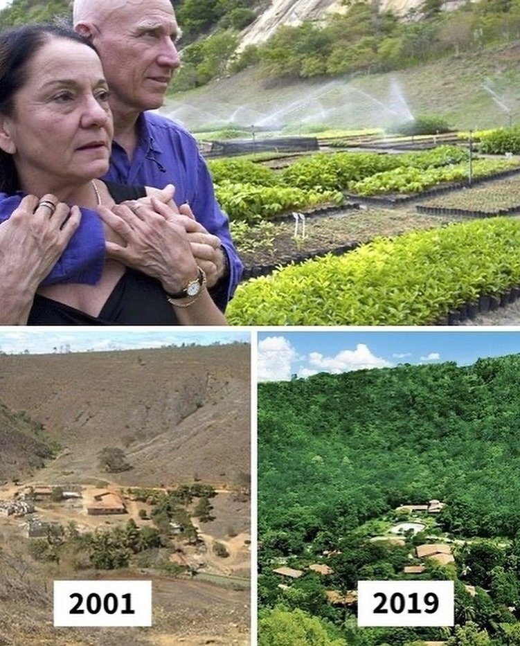 HistoryInPics's tweet photo. In the early 1990s, Brazilian photojournalist Sebastião Ribeiro Salgado was stationed in Rwanda to cover the genocide, an experience that left him traumatized.

In 1994, upon returning to his home in Minas Gerais, Brazil, Sebastião hoped to find solace in the lush green forest of his childhood. Instead, he discovered that his home had transformed into a dusty, barren land stretching for miles, devoid of any wildlife.

“The land was as sick as I was. Only about 0.5% of the land was covered in trees,” he remarked.

At this time, his wife, Lélia Deluiz Wanick Salgado, proposed that they embark on the ambitious journey of replanting the entire forest. Sebastião supported the idea, and together, over the course of the next 20 years, they planted an astonishing 2.7 million trees.

Their efforts resulted in the rejuvenation of 1,500 acres of rainforest, and the site eventually became home to 293 plant species, 172 bird species, and 33 animal species, some of which were on the brink of extinction.