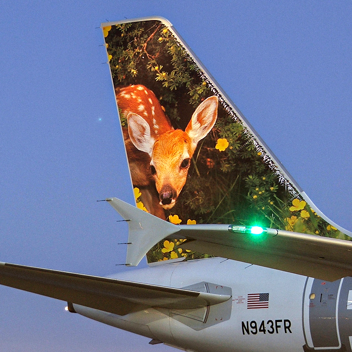 blankspac_e's tweet photo. Frontier Airbus A319, via John R. Beckman (2006) https://t.co/lXrrbhHrV2