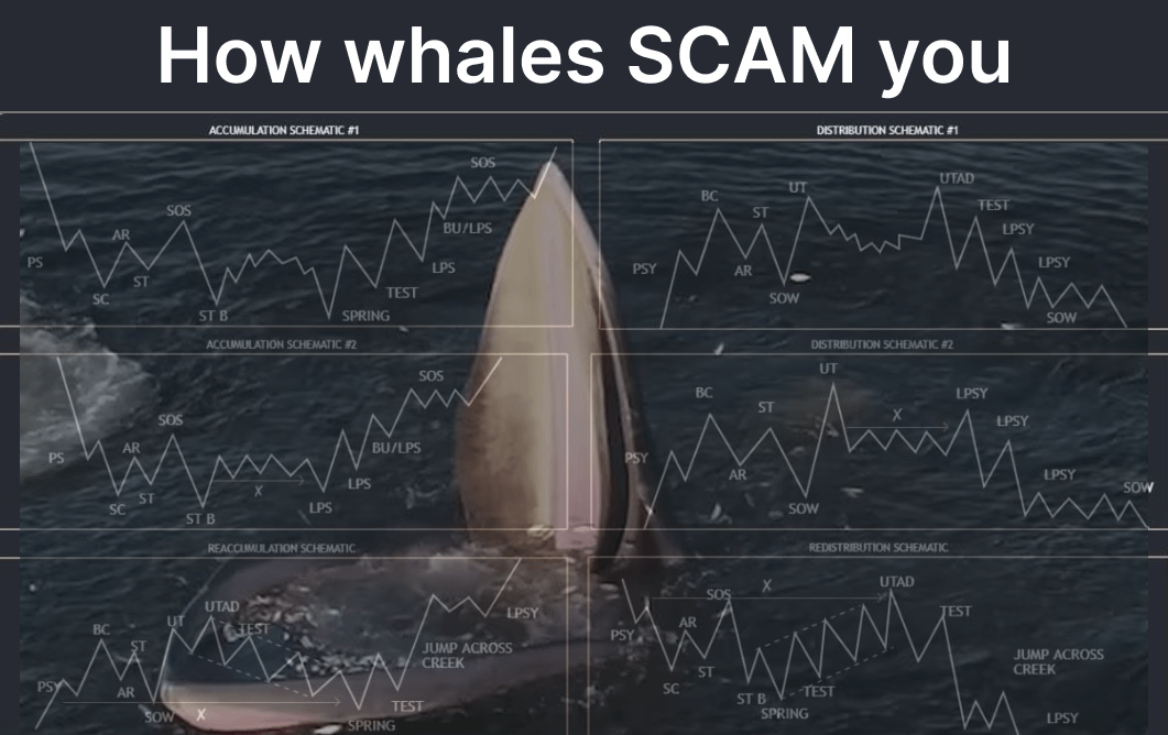 TechLeviathan's tweet photo. 95% of traders lose money in crypto

Not because they’re bad traders, but because of whales

I spent 5 years studying their tactics, so you don’t have to

Here’s how they SCAM you and how to protect your money👇🧵 https://t.co/fUY5Z7PVUU