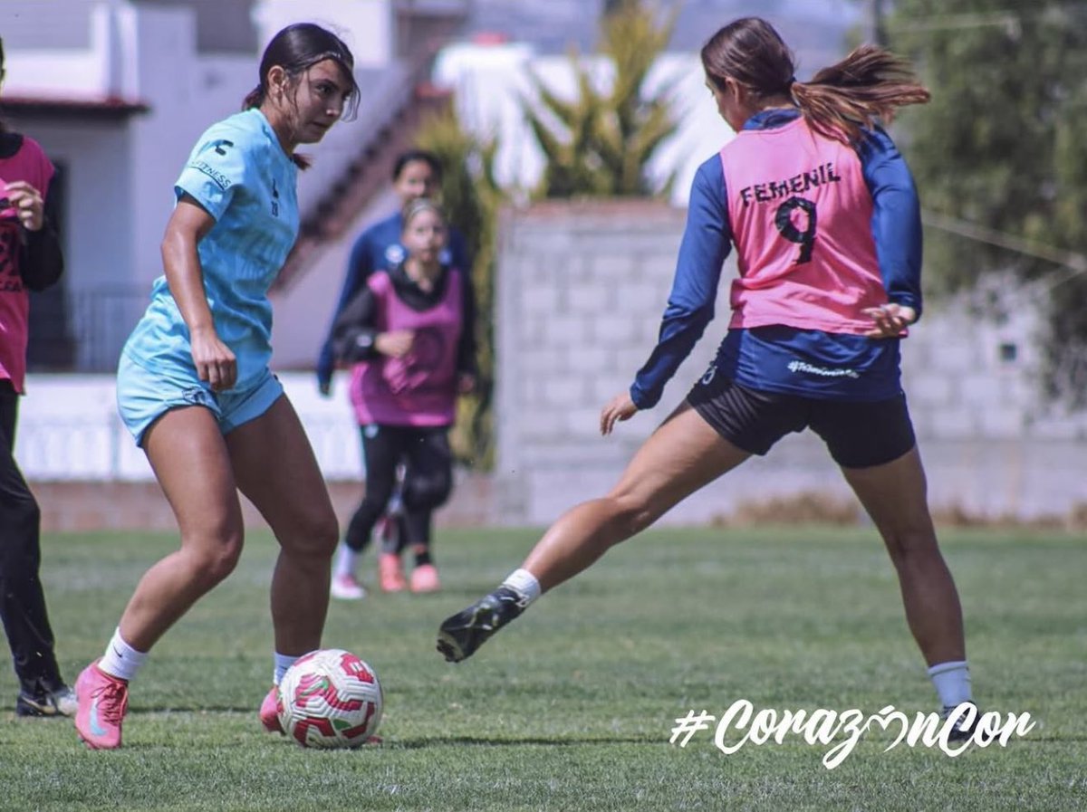 Larixsa Plascencia tweet media