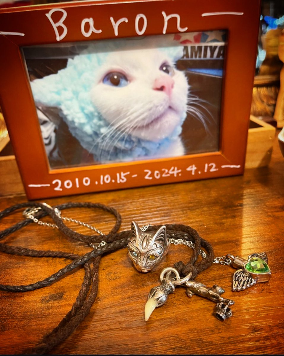 April20fools's tweet photo. バロンが亡くなって
ちょうど一年間。

寂しいな。

バロン。

君の事は忘れる事はないよ。

#cat #猫 #オッドアイ #odd_eye #白猫 #白猫プロジェクト #kitty #水頭症の猫 #水頭症による痙攣発作 #ヴァン猫 #トルコの生きた文化遺産 https://t.co/QlEl1o029i
