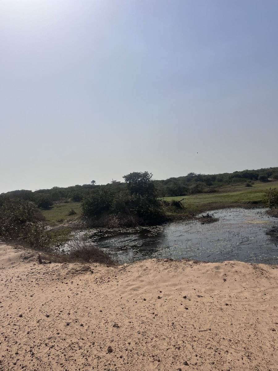 Buba (@buba11464) on Twitter photo 