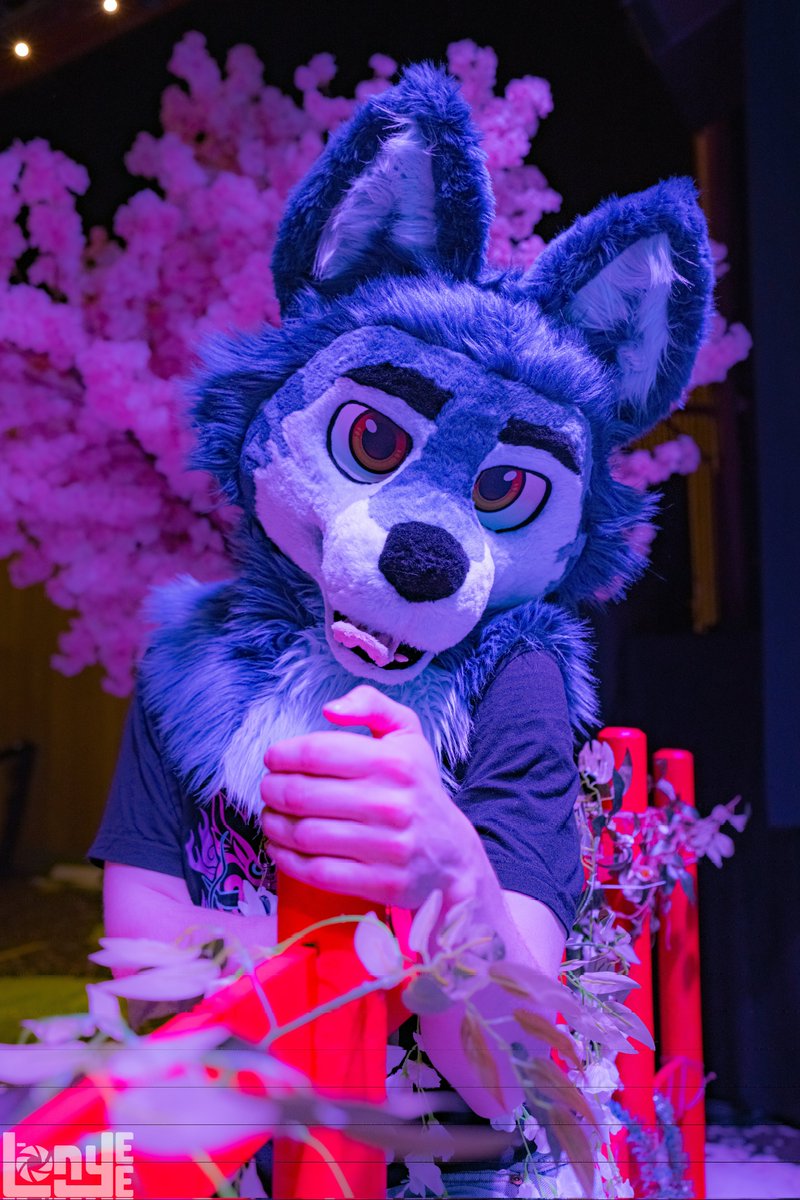 LonyeePhoto (@lonyeephoto) on Twitter photo I'm still just in time for #FursuitFriday, right?
The (adorable) suiter in this picture:
✨GolvMopp <3
📍#NFC2025
🖼️<a href="/LonyeePhoto/">LonyeePhoto</a> I'm still just in time for #FursuitFriday, right?
The (adorable) suiter in this picture:
✨GolvMopp <3
📍#NFC2025
🖼️<a href="/LonyeePhoto/">LonyeePhoto</a>
