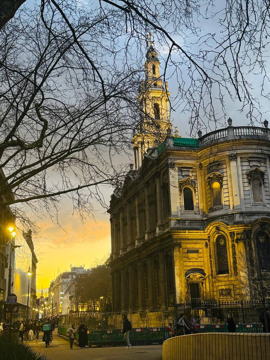 only one tweet media