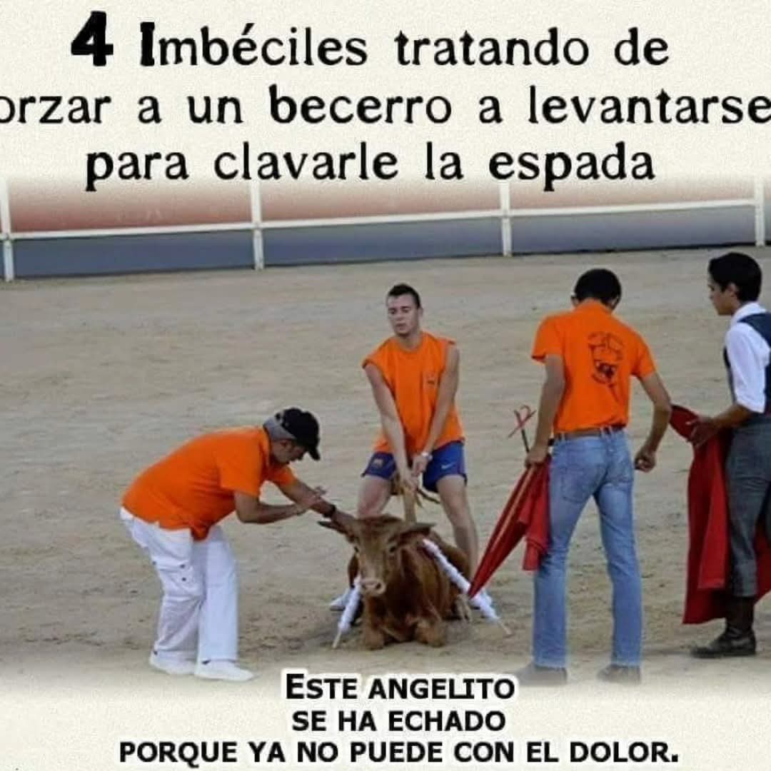 Boniatobill🔻☮️😇 tweet media