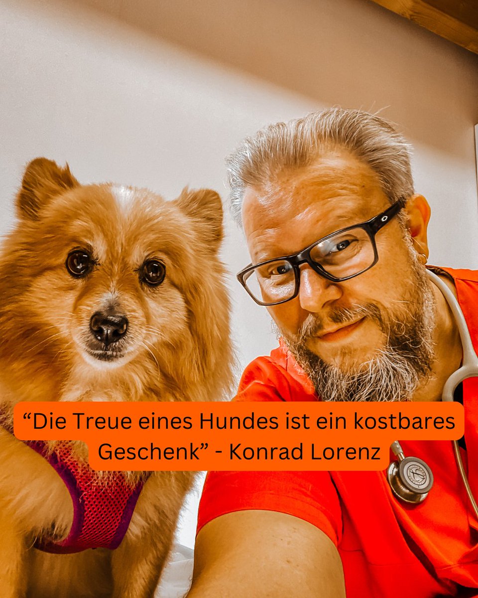 HenningWilts's tweet photo. Die Treue eines Hundes ist ein Geschenk, das man nicht kaufen kann – nur mit Liebe verdient. 🐶💛
#hundeliebe #tierarztmitherz https://t.co/wnpxoDbixV