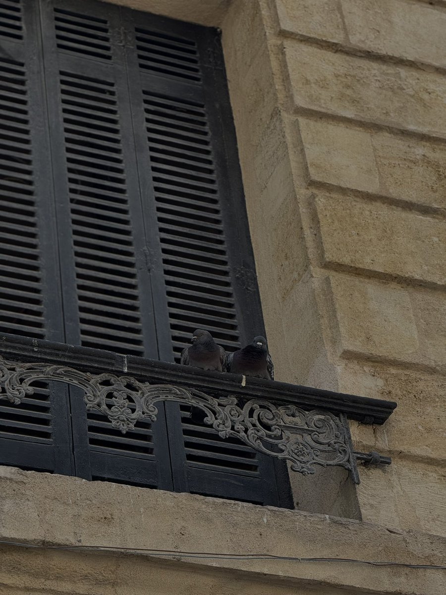 mevlam ayrılık vermesin
gökte uçan kuşa leyla’m