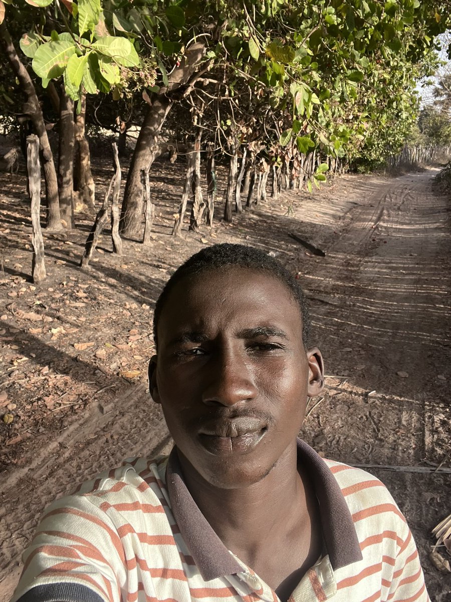 Buba (@buba11464) on Twitter photo 