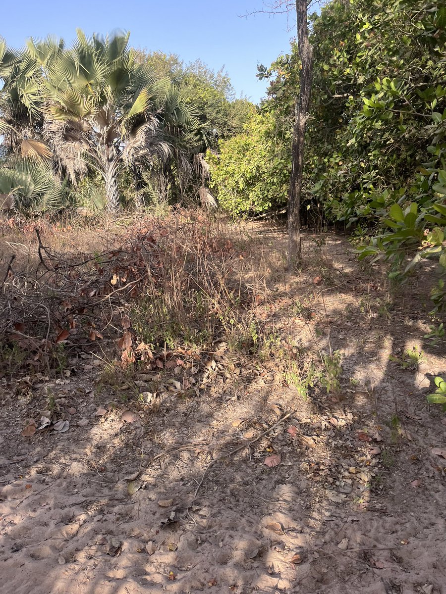 Buba (@buba11464) on Twitter photo 