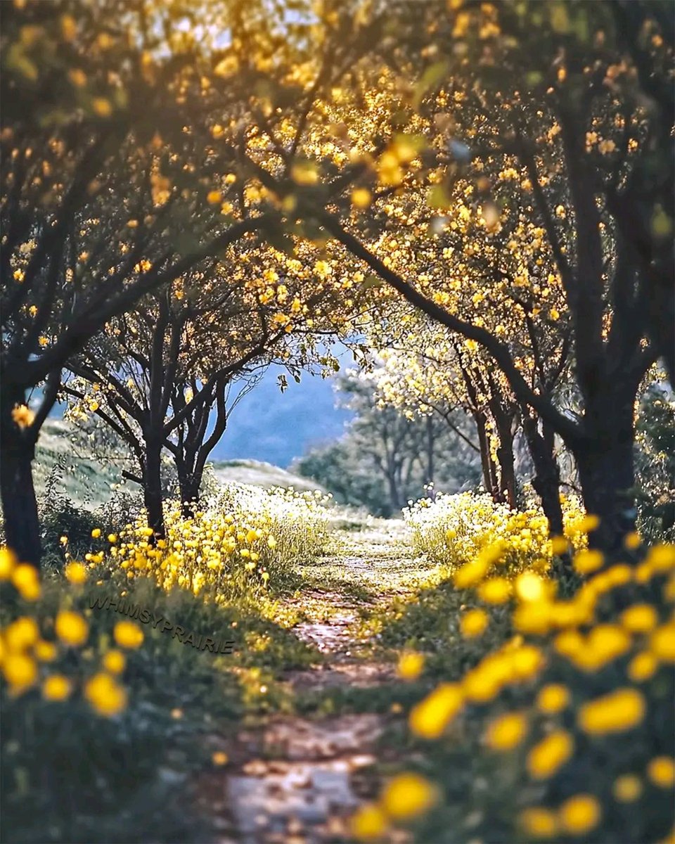 Өглөөний мэнд ээ. Өнөөдрийг өөдрөг үр бүтээлтэй сайхан өнгөрүүлээрэй