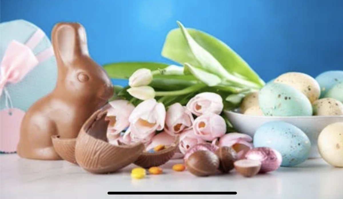 Backcountry Recreation BBQ tweet media