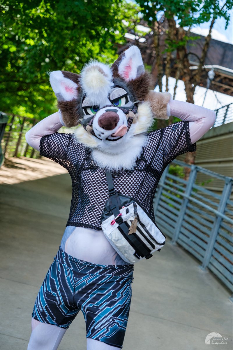 Stop and smell the fresh spring breeze
#FursuitFriday

🪡 <a href="/gnaws/">Gnaw ‼️</a> 
📸 <a href="/HeliosSnowCat/">Helios</a>