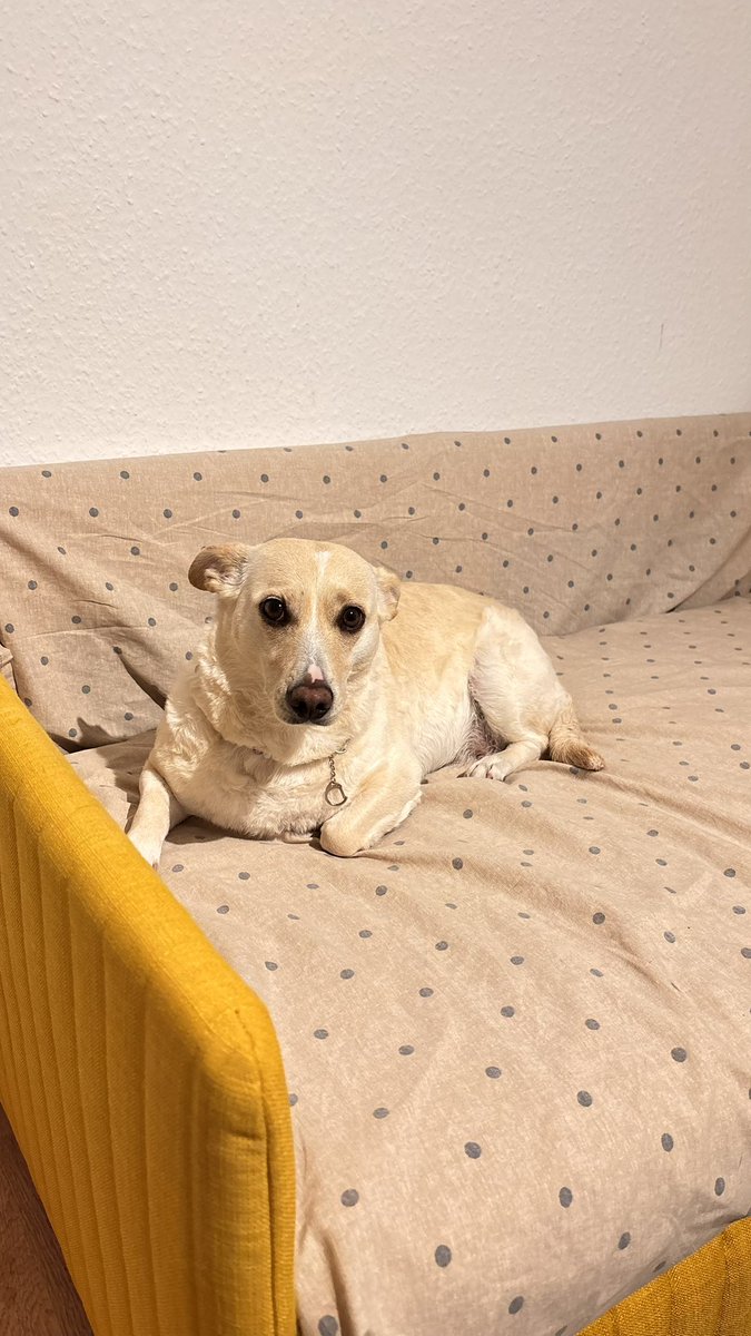 🪼Denizanası 🪼 tweet media