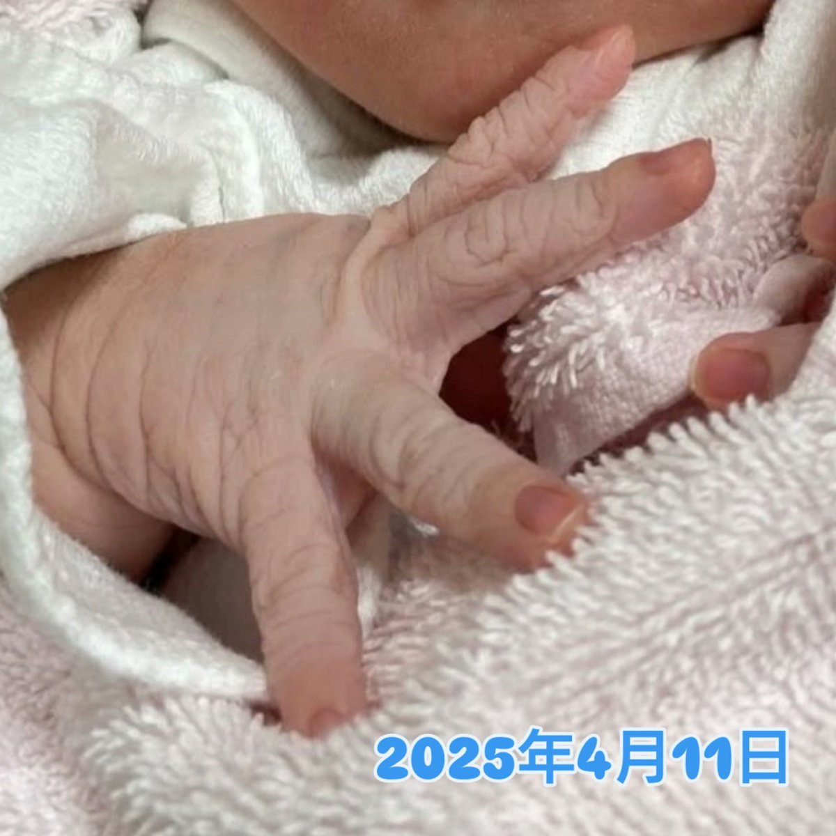0417Koron's tweet photo. 予定日通りの朝に、病院に着いて
２時間という早さで3685gのBIGな
女の子が誕生しました🥰

娘も赤ちゃんも元気です❣️
報告まで🌷 https://t.co/92ozebJ5Tv