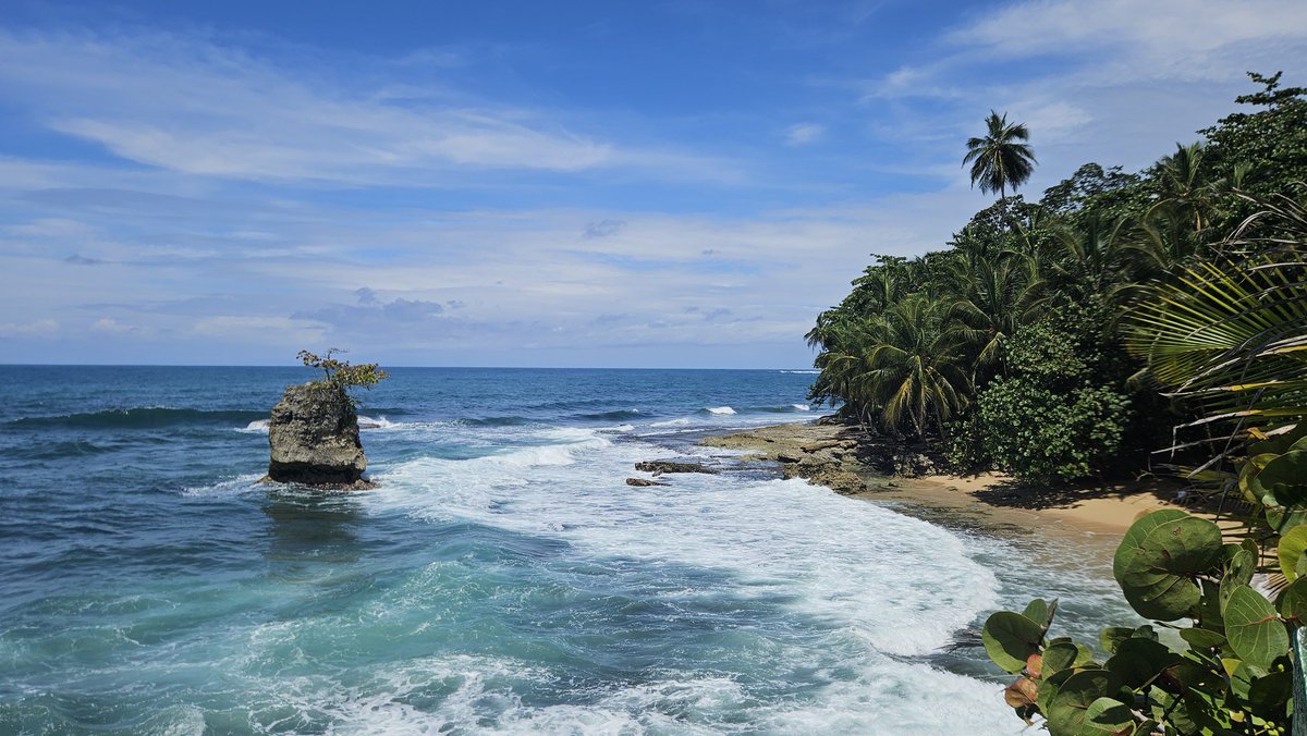 hocekm's tweet image. Mirador Manzanillo