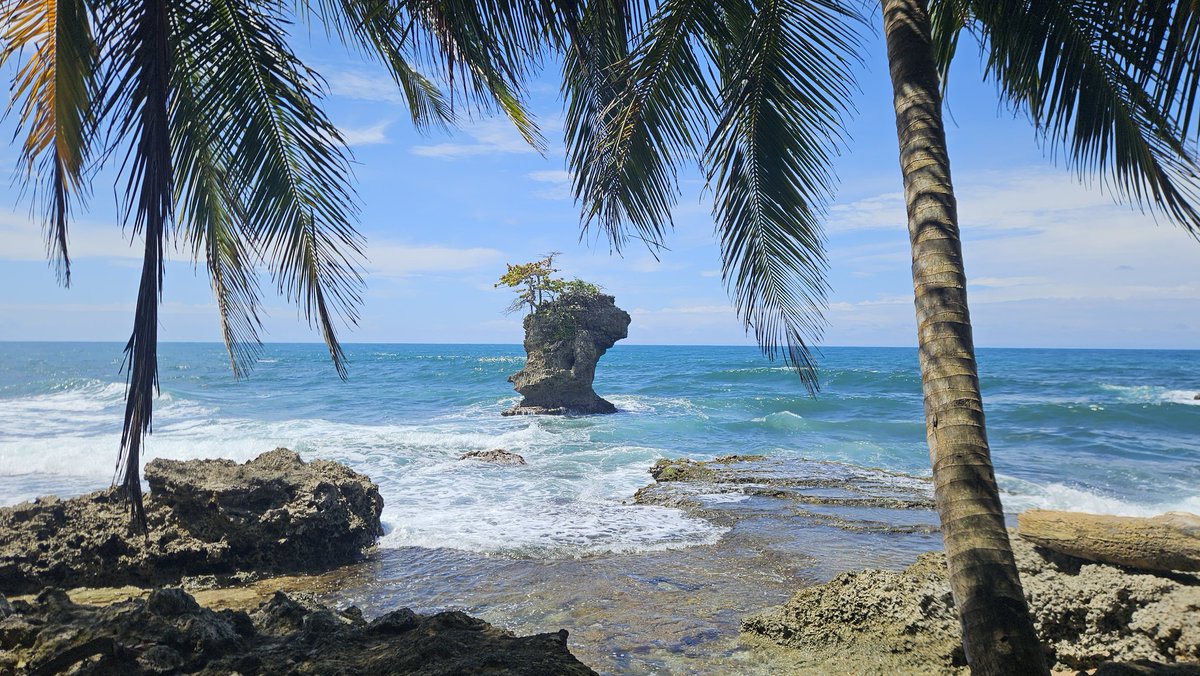 hocekm's tweet image. Mirador Manzanillo
