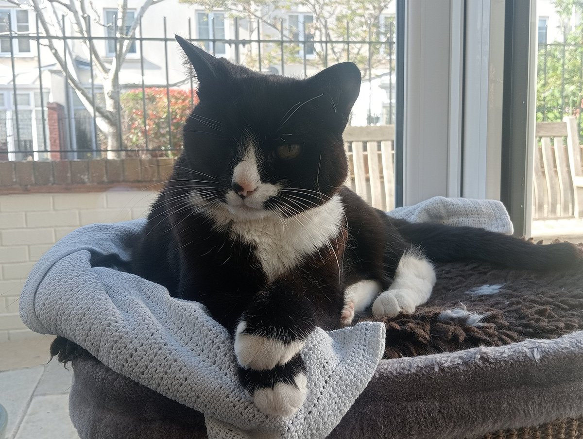 Dominic Ryan tweet media