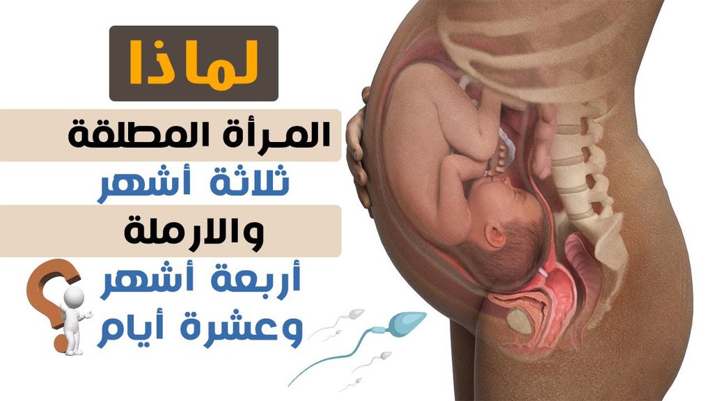 لماذا عدة طلاق المرأة ثلاثة اشهر وعدة الأرملة أربعة اشهر وعشرة ايام؟!
العالم روبرت غيلهم اعلن اسلامه بمجرد ان اكتشف السبب ..
راح اترك لكم التفاصيل تحت التغريدة

فضلها وتابع معي 🤍.