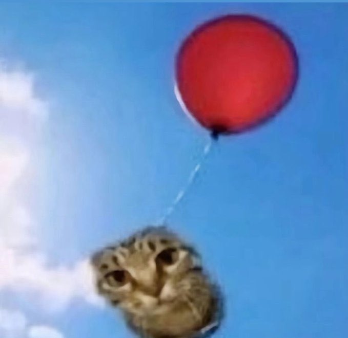 i am a wildlife photographer and i took this photo