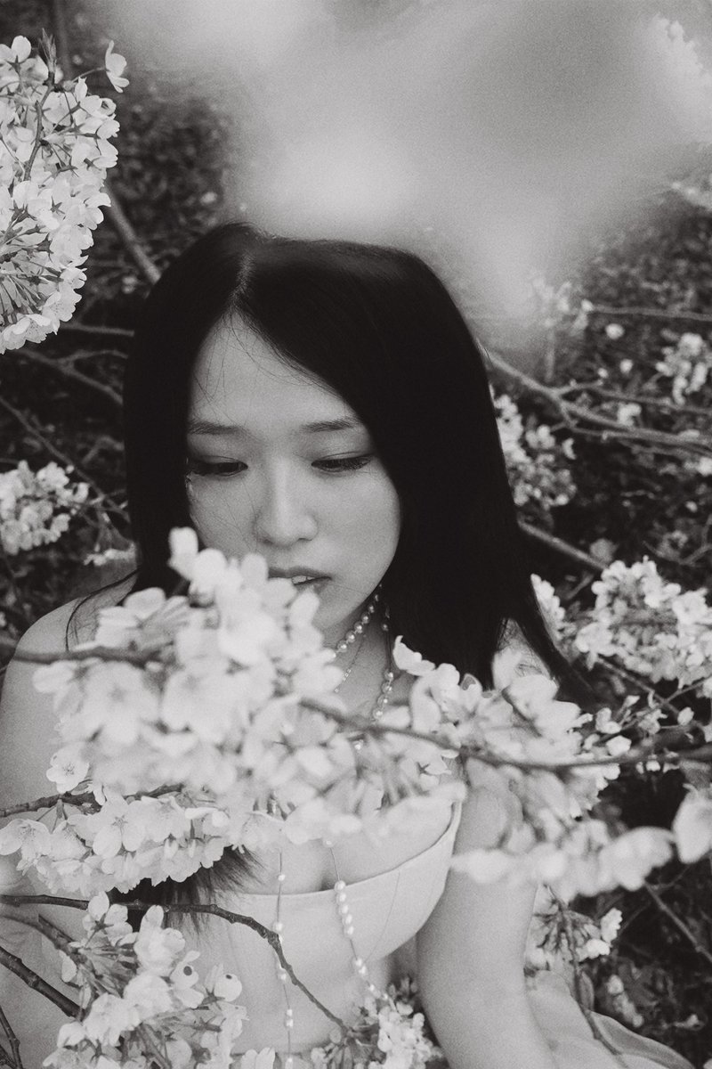 昨天的樱花没有颜色。

📷：<a href="/probablyunwake/">弦言碎语</a>