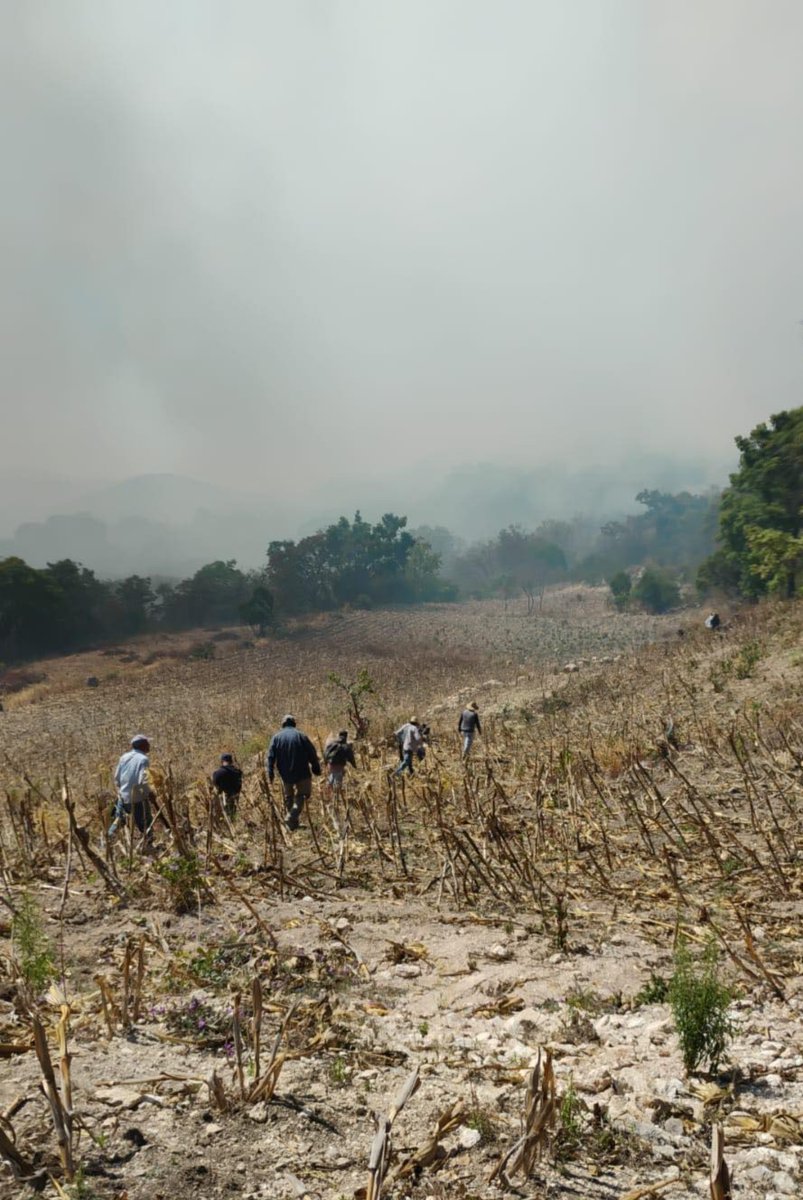 CentralQNoticia's tweet photo. 🚨 Alertan por #Incendios activos en diferentes regiones de Oaxaca.

En #Redes, pobladores han reportado la presencia y reactivación de incendios en el estado.

 👇🏻Aquí la nota completa:
https://t.co/JXrOLUfIac

#CentralQNoticias #Oaxaca #Noticias
https://t.co/LtmWu6taJ3 https://t.co/QShUNcjfMw