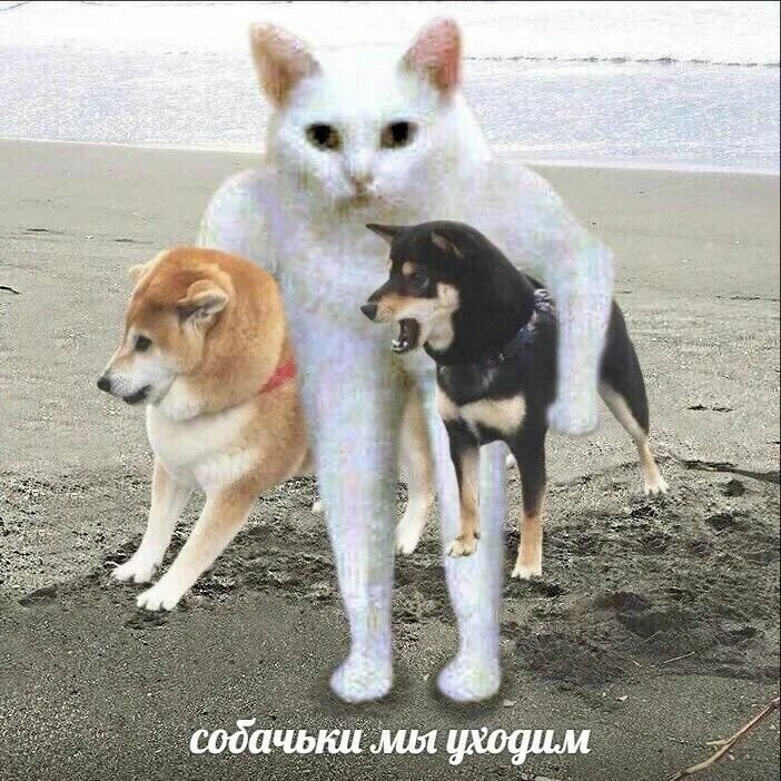 мужики при расставании с женщиной залазят туда в последний раз чтобы забрать свое добро: