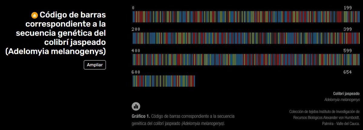 inst_humboldt's tweet photo. 🧬El uso de códigos de barras de ADN como herramienta para identificar especies traficadas es una iniciativa prometedora en Colombia, que puede contribuir a mejorar el control y la gestión del tráfico ilegal de fauna y flora. Conoce más en el #ReporteBio https://t.co/TmIcjI96J8 https://t.co/qwUdHYC74a