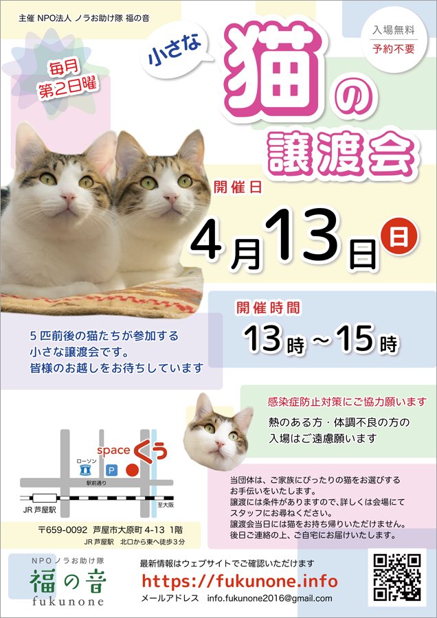 juso_sakuraneko's tweet photo. 拡散希望
兵庫県芦屋市　猫の譲渡会のお知らせ

4月13日（日）13時〜15時
芦屋市大原町4-13

猫の家族を探している方
是非お立ち寄り下さい✨

厚かましいお願いでごさいますが、拡散のお力添えをよろしくお願いいたします🙏 https://t.co/QONc2tmAro