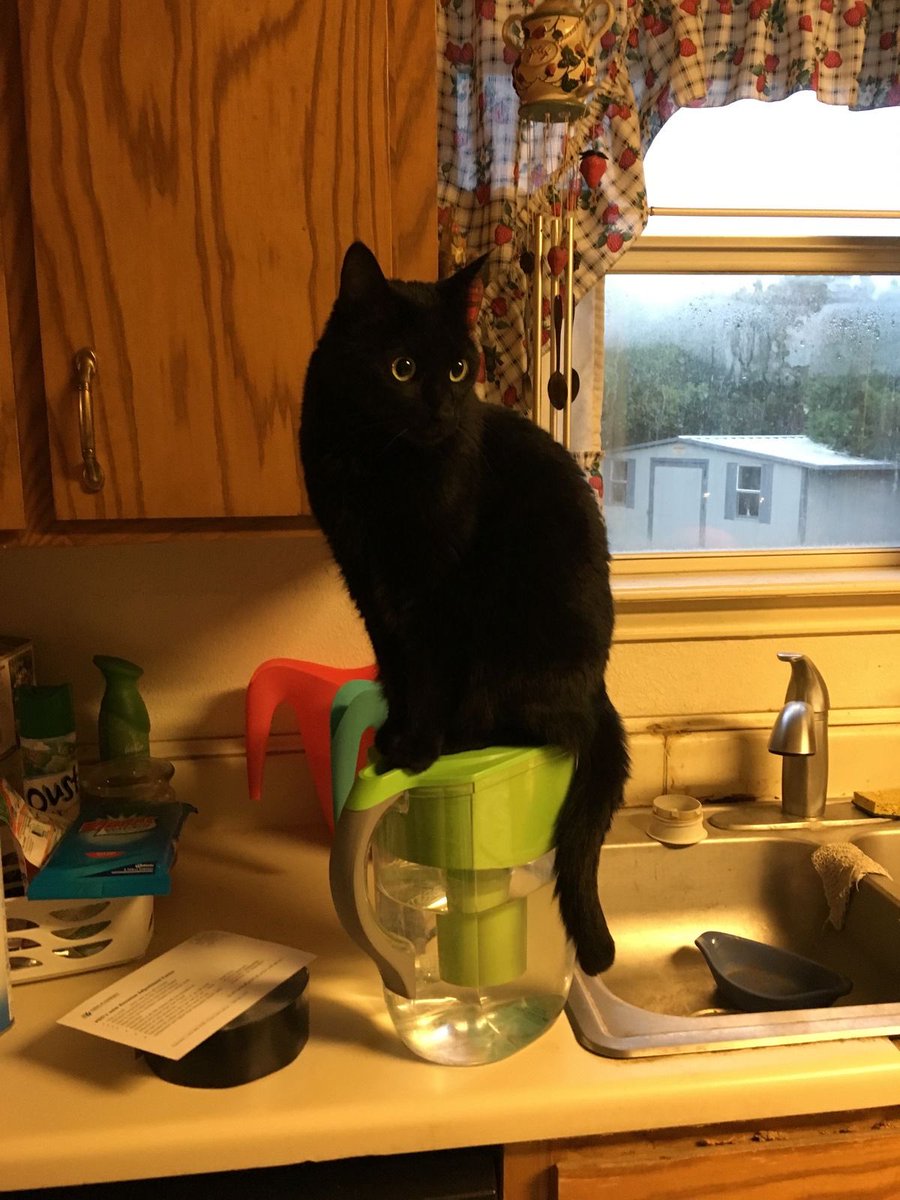 blackscats's tweet photo. https://t.co/tuAZaqkLCu