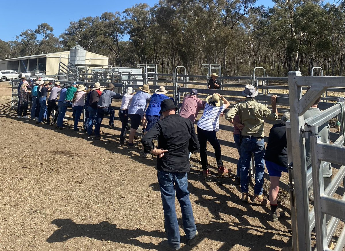 jackbriscoe109's tweet photo. Did a couple of stockhandling presentations for the @vffStockSense https://t.co/DqWQMn6z82