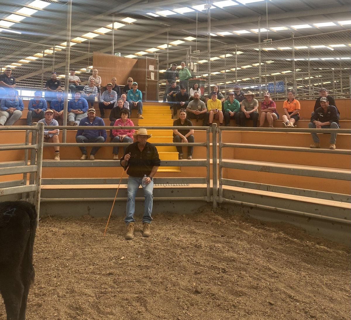 jackbriscoe109's tweet photo. Did a couple of stockhandling presentations for the @vffStockSense https://t.co/DqWQMn6z82