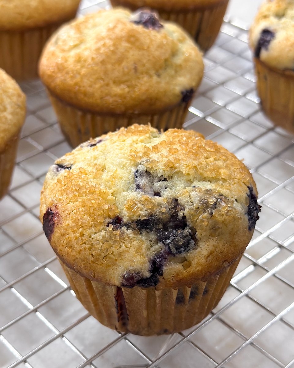 ThirstyRadish's tweet image. Lemon blueberry muffins from my breakfast and brunch recipes class 🫐
#cooking #food #cookingclass #baking
